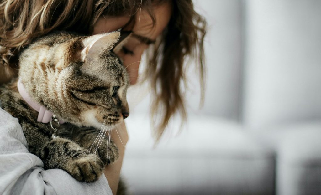 Kot się dławi - pierwsza pomoc